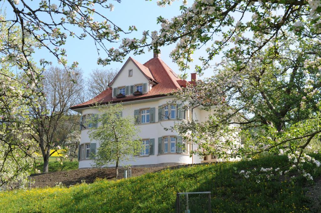 Gasthaus Schwanen & Villa Pfarrhus Stuhlingen Pokoj fotografie